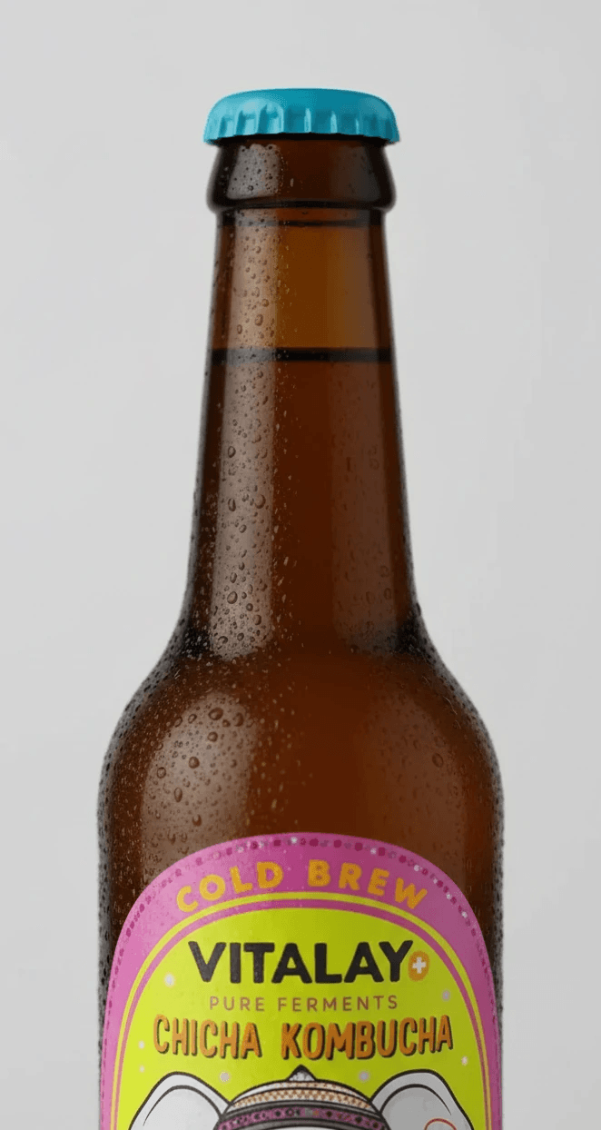Chicha Kombucha Vitalay